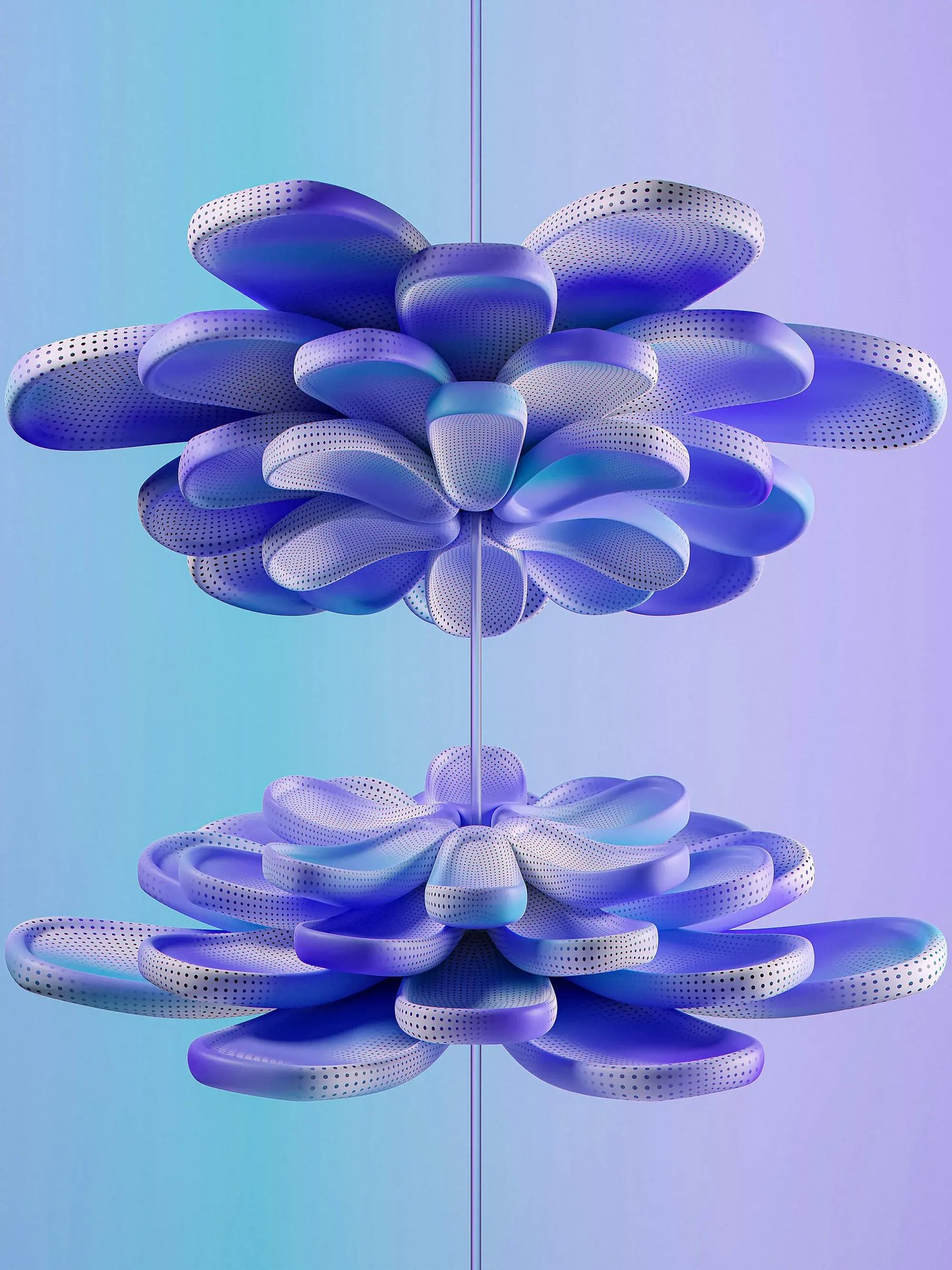 Blue and white flower